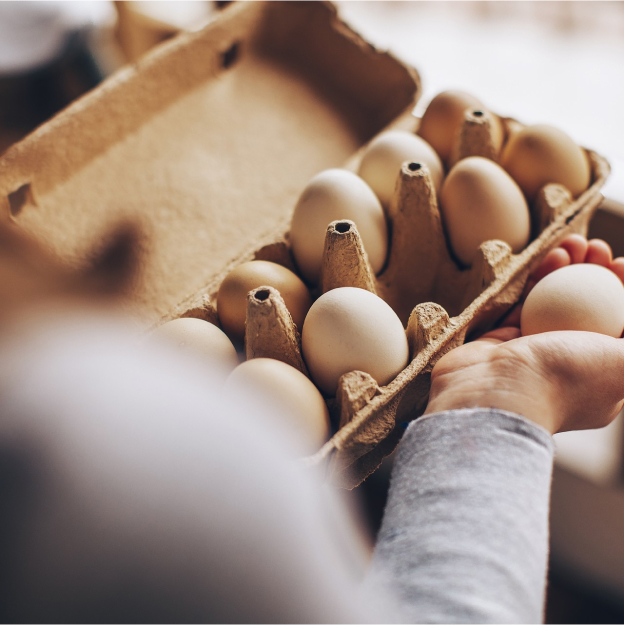 Oeufs Bio issus d'un élévage de 30000 poules pondeuses vivant en plein air à Faÿ lès Nemours (77)