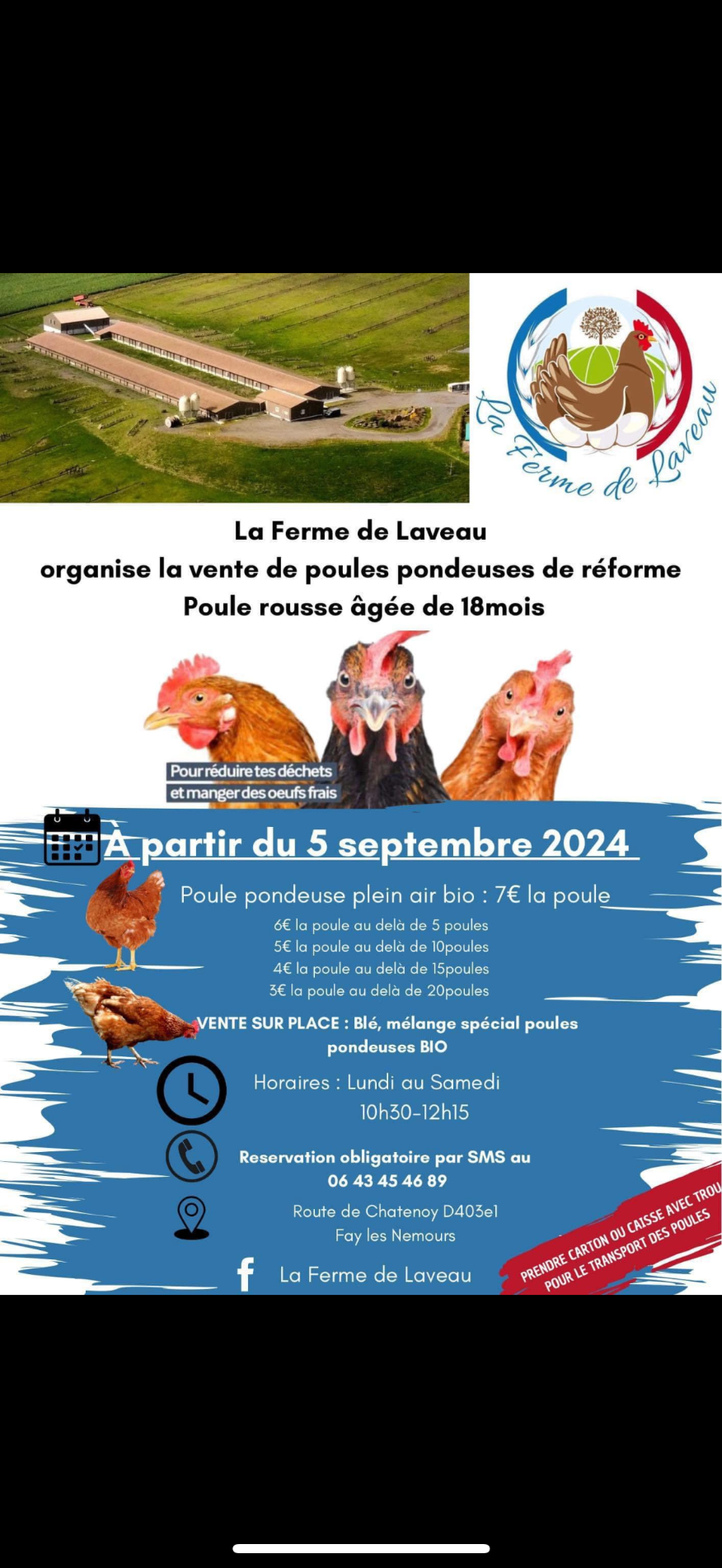 Vente de poules de réforme