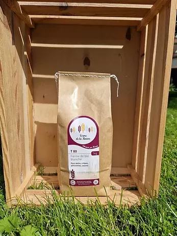 FARINE T80 / BLANCHE